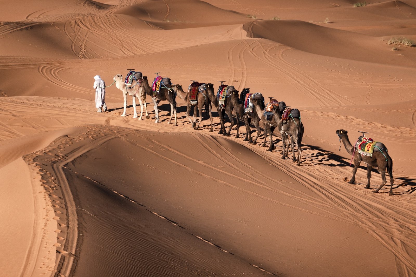 8 Days from Casablanca to Sahara Desert